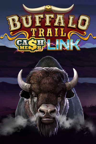 Buffalo Trail – Cash Mesh LINK